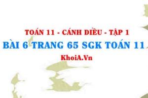 Bài 6 trang 65 SGK Toán 11 tập 1 Cánh Diều